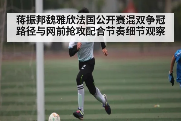 蒋振邦魏雅欣法国公开赛混双争冠路径与网前抢攻配合节奏细节观察